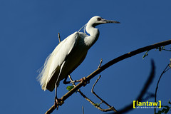 Baras Bird Santuary