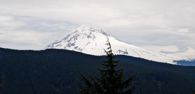 Mt. Hood from the Hunchback Mountain Trail #793 - Mt. Hood National Forest