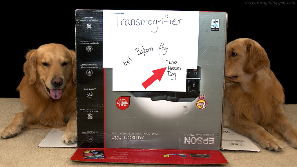 Transmogrifier