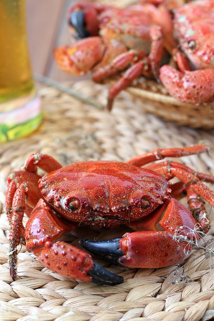 Крабы. crabs
