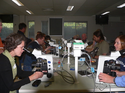 Simone Louwhoff (left) leading the lichen identification workshop