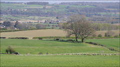 Landscape: Yorkshire