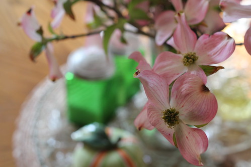 Dogwood blossoms by DiPics