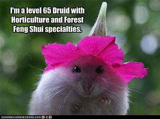 lol druid hamster with petunia hat