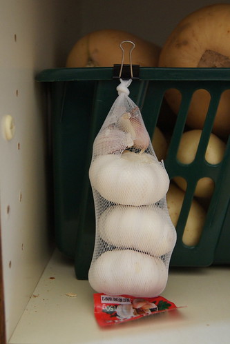 storing garlic