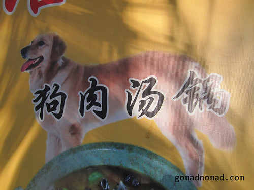 dog on menu in china