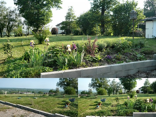 Garden 24th May 2012