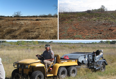 Shortgrass Prairie Restoration