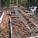 Veggie beds cleaned out