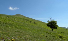 Monte Lieto (Sibillini)