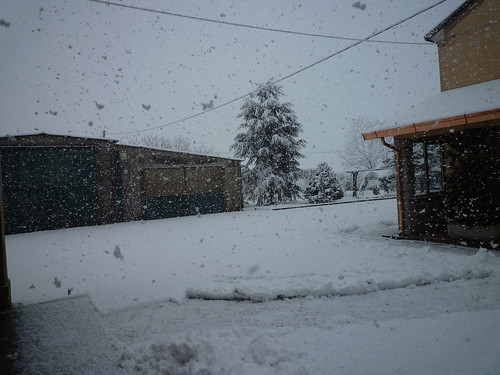 Nevicata con i fiocchi!!! by meteomike