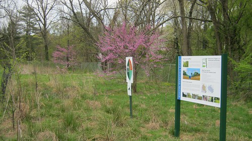 Glenside Riparian Buffer with sign