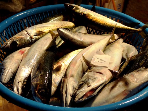 海豚喜歡吃鯖魚，人也喜歡吃，何者才是把魚吃光的兇手呢？圖為魚市場裡的鯖魚們，等著被人類買回家冰在冰箱裡。