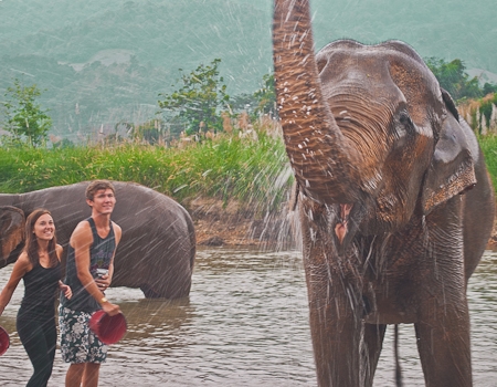 Our day with the elephants in Chiang Mai