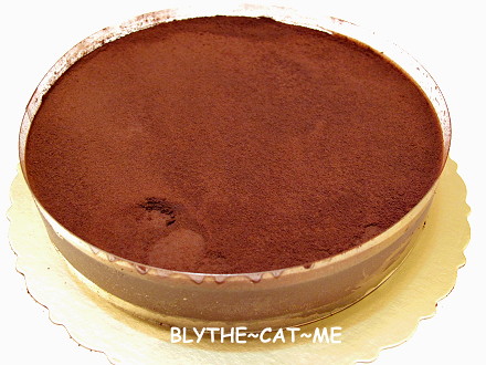 阿默瑞士巧克力莓果蛋糕 (11)