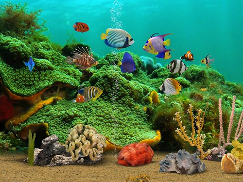 MyReef 3D Aquarium HD