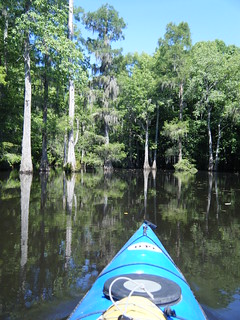Sparkleberry Swamp Jun 2, 2012 10-50 AM
