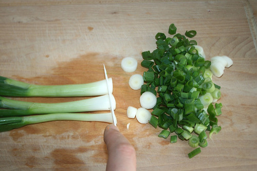 16 - Frühlingszwiebeln schneiden / Cut spring onions