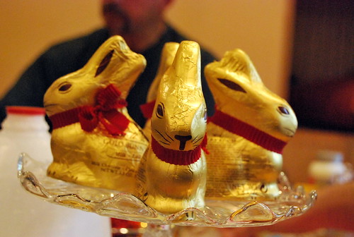 easter - chocolate bunny