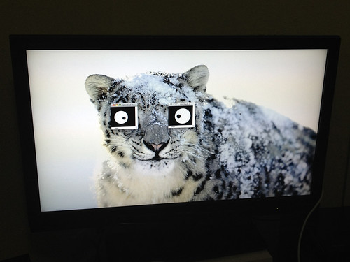 Snow Leopard TV