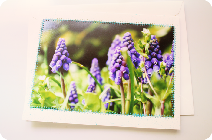{note card} bluebells