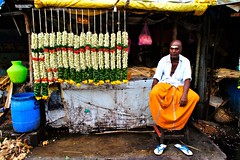 The Peacock Trail - Kapaleeshwarar Temple (Chennai)