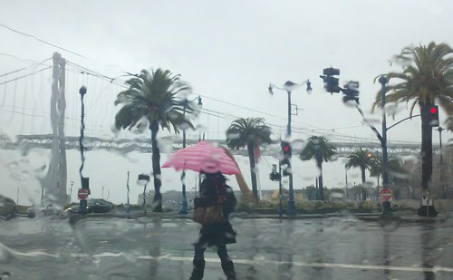 Bay Area Rain