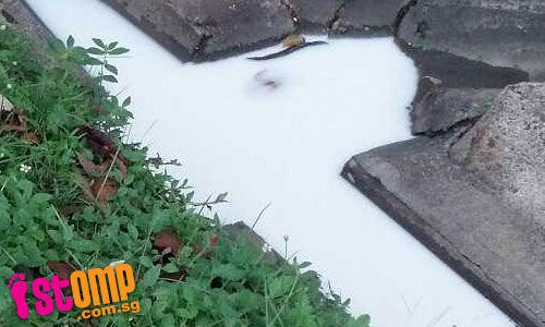 white1jpg133Ew, white liquid spotted in drain in the Katong area 6740624236-data