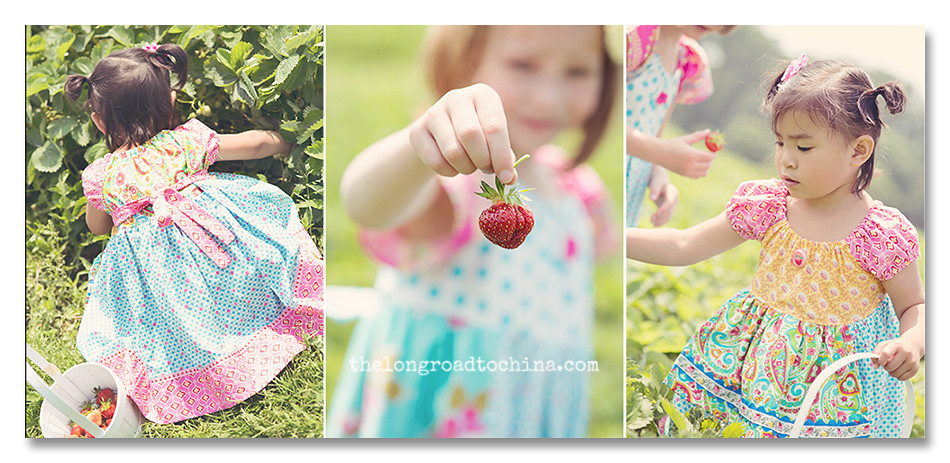 3 in a row berry picking BLOG jpg