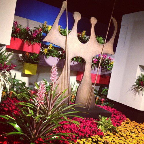 Macy's Flower Show - Brazil