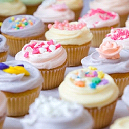 primrose bakery cupcake