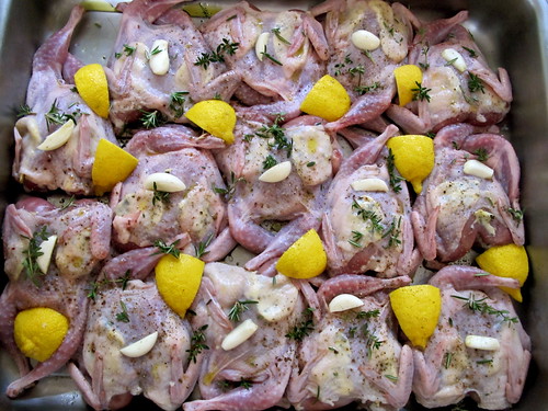 Quails about to go in the oven