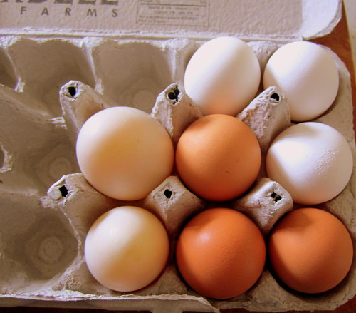 egg variety