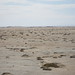 Skelleton Coast, Namibia - IMG_2671