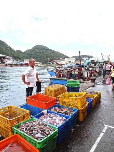 「三腳虎」的漁獲效益最大，但一網打盡的作法，長遠看來，對台灣沿岸漁業衝擊頗大。圖為一箱箱的雜魚。