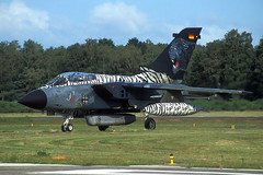 NATO Tigers