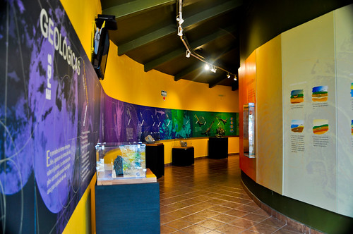 Museo de Paleontología (04)
