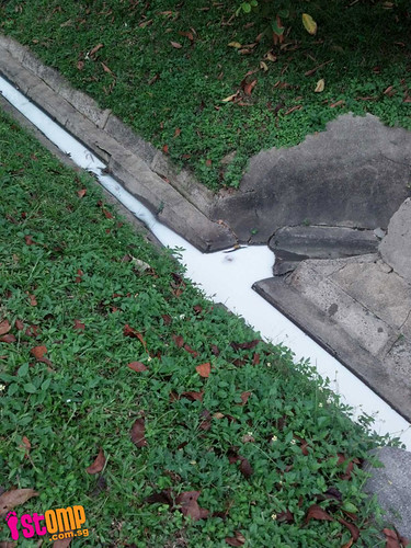 Ew, white liquid spotted in drain in the Katong area