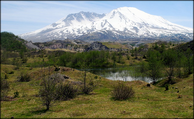 Life slowly starting to return to what was once a barren wasteland - Mt St Helens