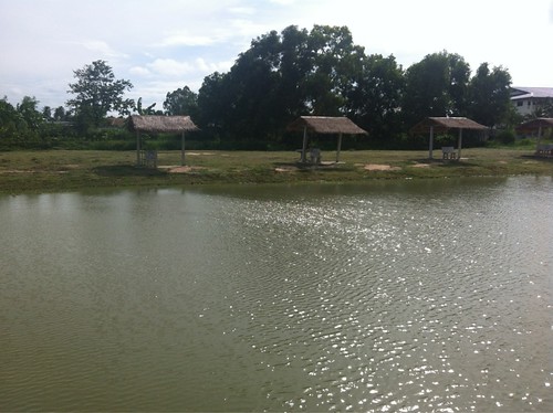 pattaya barra fishing park 4