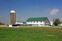 Pennsylvania Barns