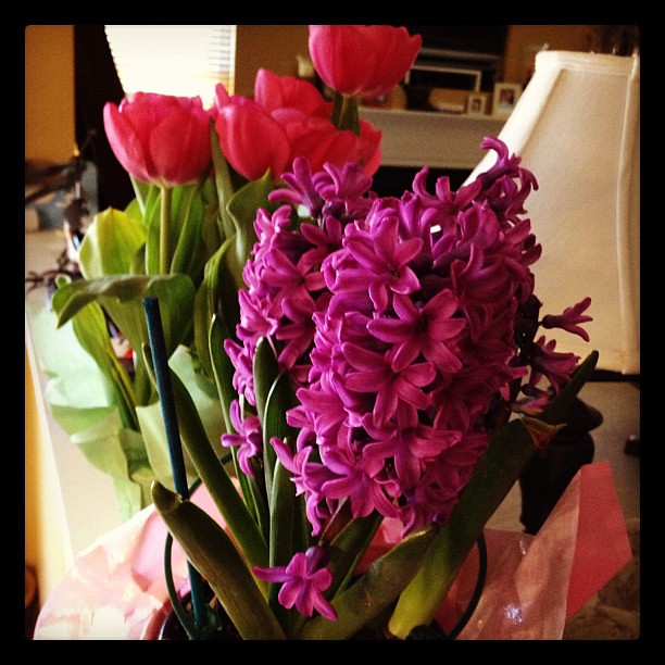 Pretty Easter flowers!