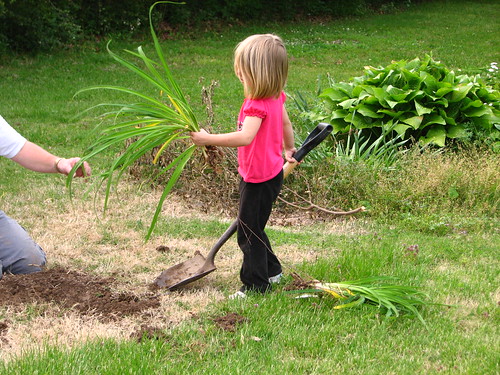 helping Pa in the garden