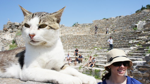 Ephesus Cat