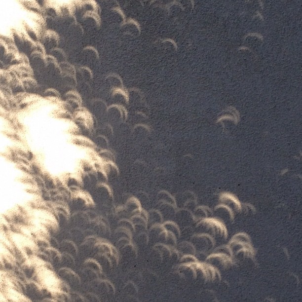 Eclipse shadows are blowing my mind!