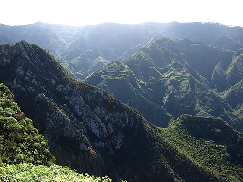 Canary Islands landscape