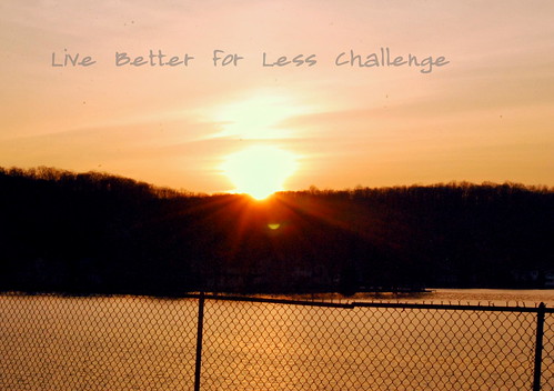 Live Better for Less Challenge