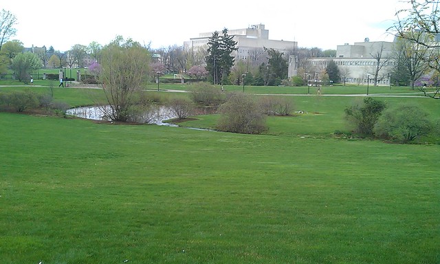 Indiana University Arboretum