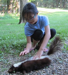 Petting the Skunk