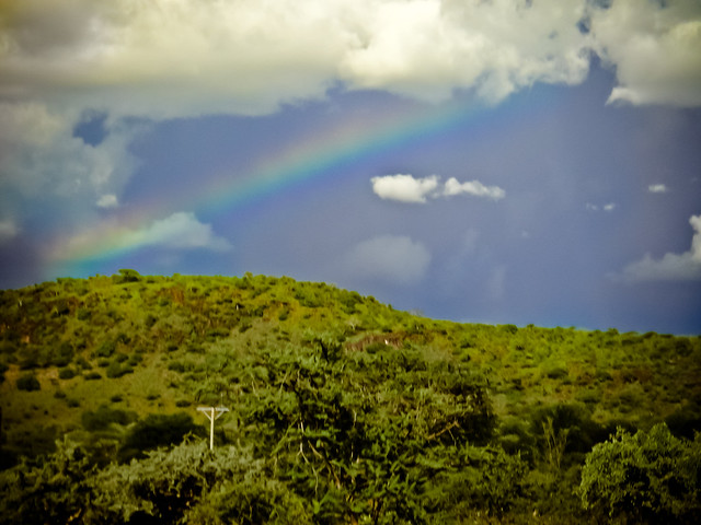 Ze East African Rainbow